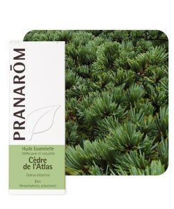 Pranarôm Huile Essentielle Origan Bio 60 perles