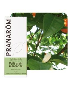 Petit grain mandarine (Citrus reticulata)