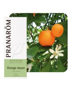 Orange douce (Citrus sinensis) - Huile essentielle, 30 ml
