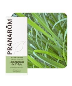 Lemongrass de l'Inde (Cymb. flexuosus), 10 ml