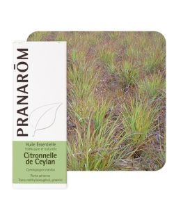 Ceylon citronella