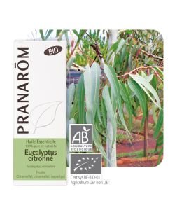 Eucalyptus citronné (Eucalyptus citriodora) - Huile essentielle BIO, 10 ml