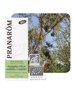 Eucalyptus à fl. multiples (Euc. polybract.) BIO, 10 ml