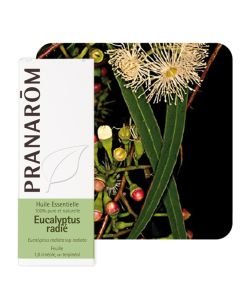Pranarôm Eucalyptus Citronné Bio Flacon Compte Gouttes 10ml Produit D