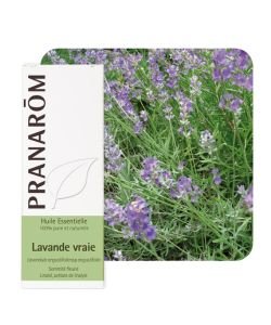 Lavande vraie (Lavandula angustifolia), 10&nbsp;ml