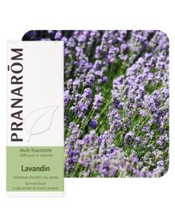 Lavandin (Lav. burn. cl. grosso), 10&nbsp;ml