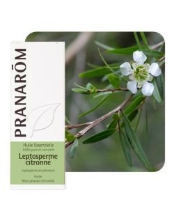 Leptosperme citronné (Leptospermum petersonii), 5&nbsp;ml