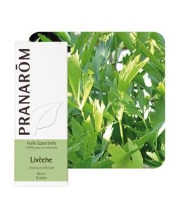 Livèche (Levisticum officinale), 5 ml