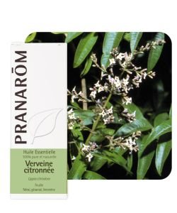 Lemon Verbena