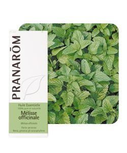 Lemon Balm (Melissa officinalis), 5 ml