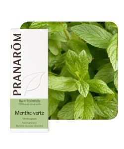 Menthe verte - nana (Mentha spicata), 10 ml