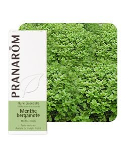 Bergamot (Mentha x citrata), 10 ml