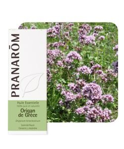 Origan de Grèce (Origanum heracleoticum), 10 ml