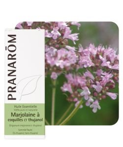 Marjolaine à coquilles ct thujanol, 5 ml