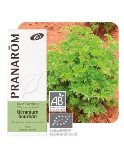 Geranium bourbon  BIO, 10 ml