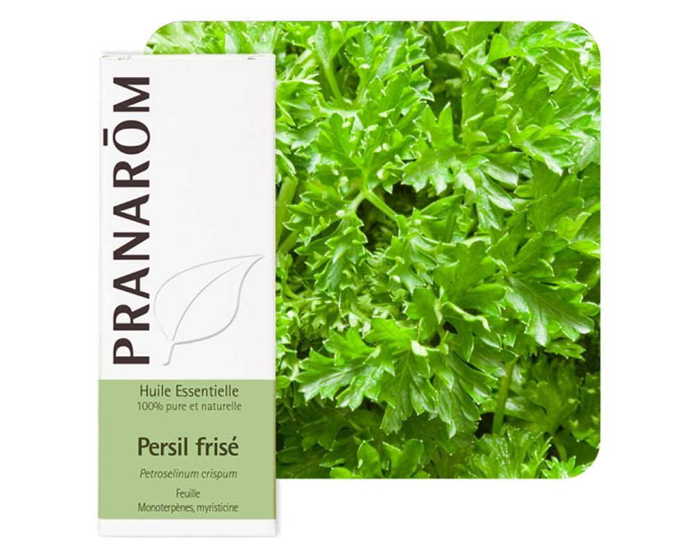 Petroselinum crispum huile essentielle naturelle de persil frisé — free download