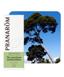 Maritime pine - turpentine  BIO, 10 ml