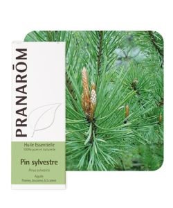 Pin sylvestre (Pinus Sylvestris), 10 ml