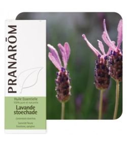 Lavande stoechade - DLUO 02/2026, 10 ml