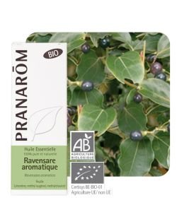 Ravensare aromatique (Ravensara aromatica) BIO, 10 ml