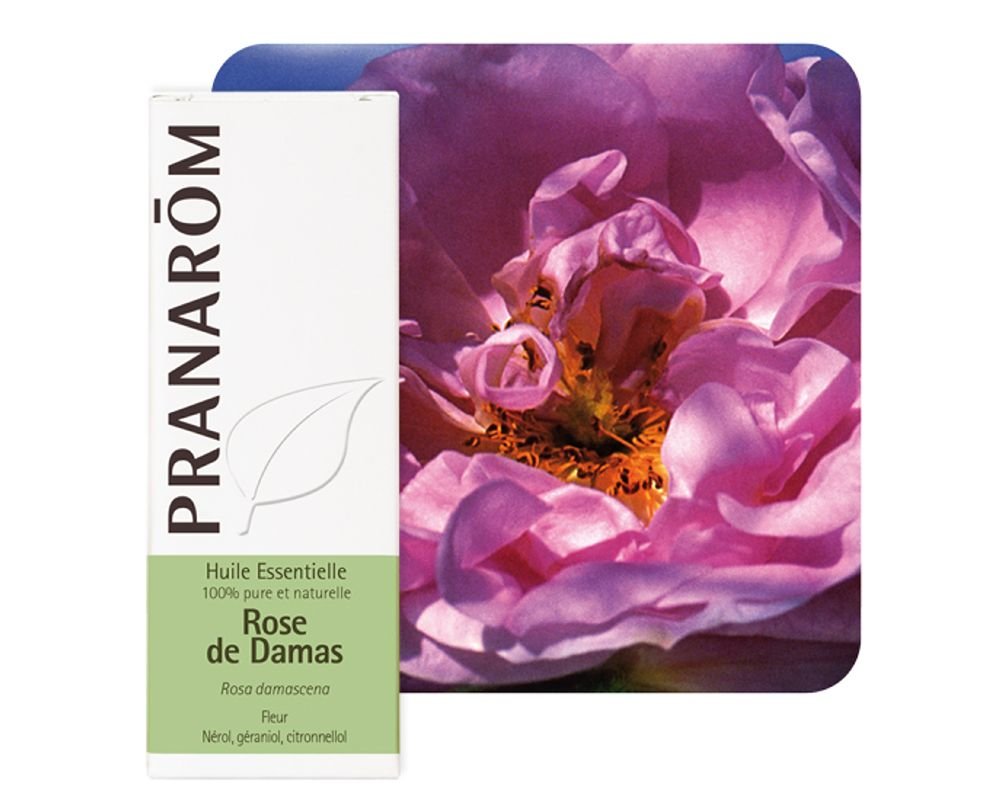 Rosa damascena natural essential oil of Damascus rose.