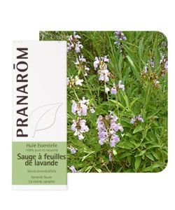 Sauge à feuilles de lavande (Salv. lavand.) , 10&nbsp;ml
