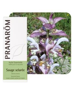 Sauge sclarée (Salvia sclarea) - Huile essentielle DLUO 04/26, 10&nbsp;ml