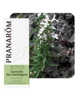 Sarriette des montagnes (Satureja montana)