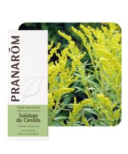 Solidage du Canada (Solidago canadensis), 5 ml