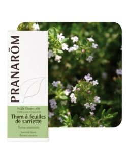 Thym à feuilles de sarriette (Thymus satureioides), 10 ml