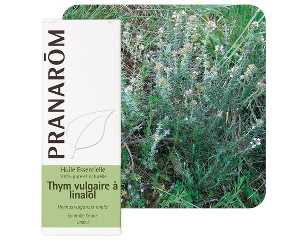 Thymus vulgaris natural essential oil of thyme linalool vulgar Pranarom.