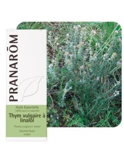 Thyme vulg. linalol (Thymus vulg. ct linalool)