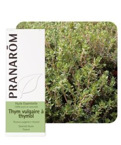 Thyme vulg. with thymol (Thymus vulg. ct thymol), 10 ml