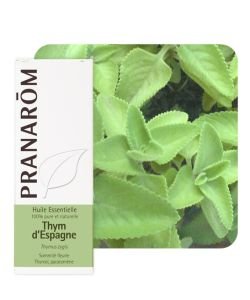 Spanish thyme (Thymus zygis), 5 ml