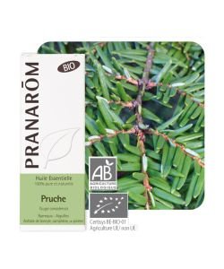 Pruche (Tsuga canadensis) BIO, 5 ml