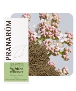 Valériane officinale (Valeriana officinalis), 5 ml