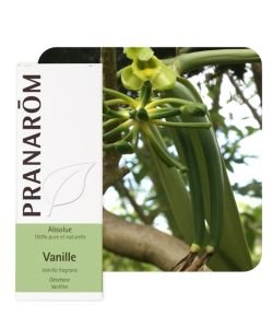 Vanille - absolue (Vanilla fragrans Auct), 5 ml