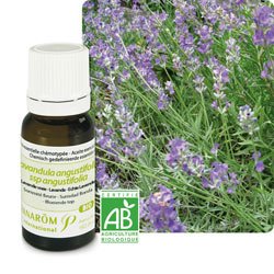 Lavande vraie - Sans Emballage  BIO, 10&nbsp;ml