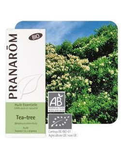 Tea-tree (Melaleuca altern.) Bio BIO, 10 ml