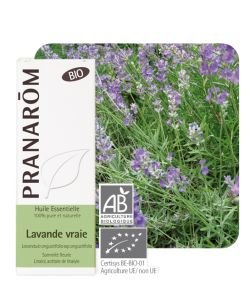 True lavender (Lavandula angustifolia) BIO, 10 ml
