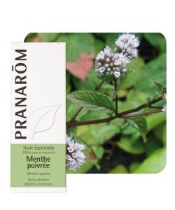 Peppermint (Mentha x piperita), 10 ml