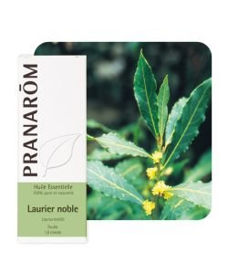 Laurier noble (Laurus nobilis), 5 ml