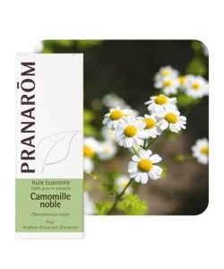 Noble Camomille (Chamaemelum nobile), 5 ml