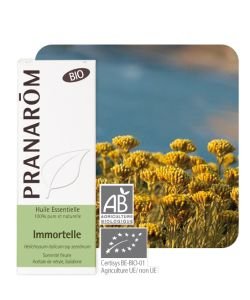 Immortelle - Hélychryse (Helichrysum italicum)