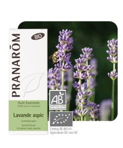 Lavande aspic (Lavandula spica), BIO, 10&nbsp;ml