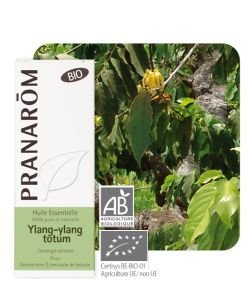 Ylang-ylang totum (Cananga odorata) BIO, 5 ml