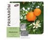 Mandarinier (Citrus reticulata)
