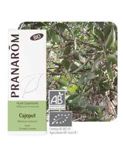 Cajeput (Melaleuca cajuputii) BIO, 10 ml