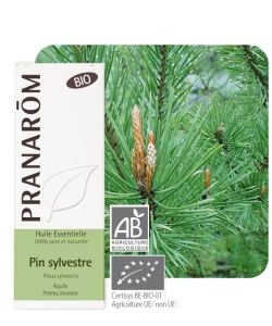 Pin sylvestre (Pinus Sylvestris) - Huile essentielle, BIO, 10&nbsp;ml