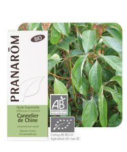Cinnamon tree of China Bio (Cinnamomum cassia) BIO, 10 ml